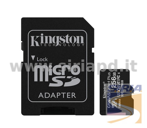 MICROSD256